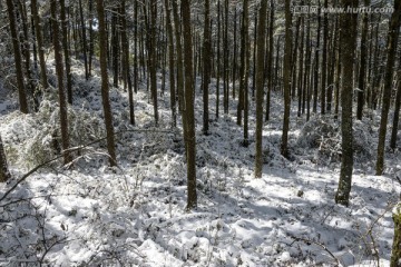 林海雪原