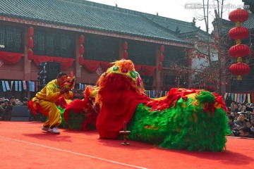 舞狮文化庙会