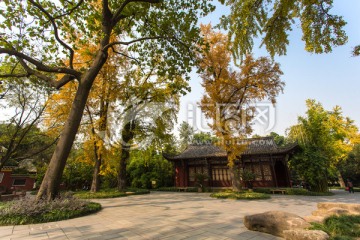 成都望江樓公園古建筑