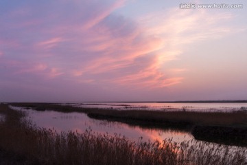 湿地日落