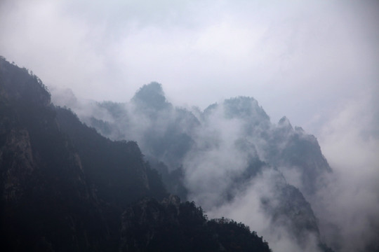 云雾满山飘