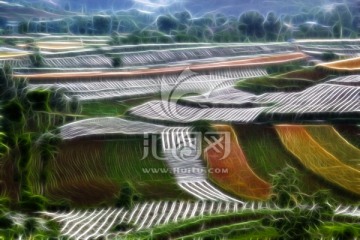 錦繡田園