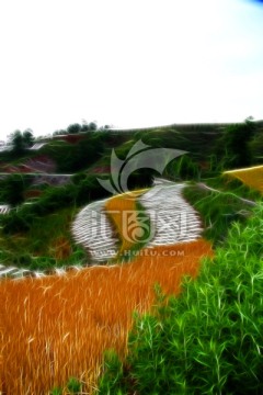錦繡田園