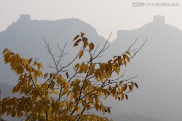 长城秋色 薄雾 黄叶