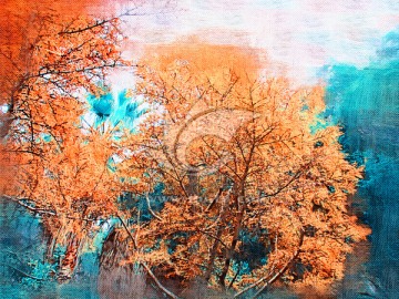 秋 风景油画