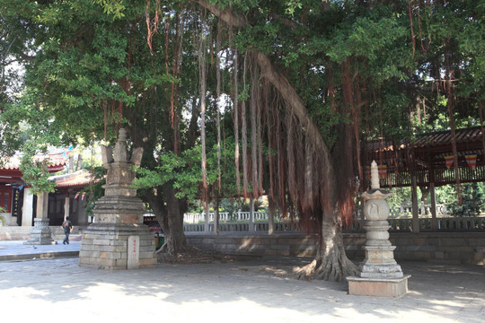 泉州开元寺内景