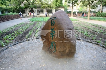 绍兴鲁迅故居百草园