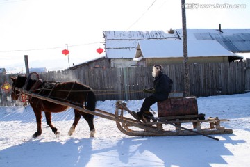 雪地 马爬犁