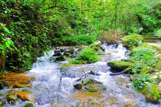 黄龙美景 （高清）