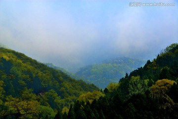 云雾大山春色