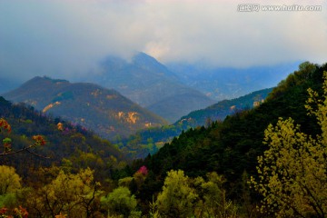 云雾大山春色