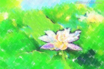 油畫 荷花