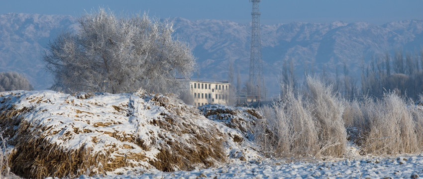天山牧场 新疆风光 牧区冬景