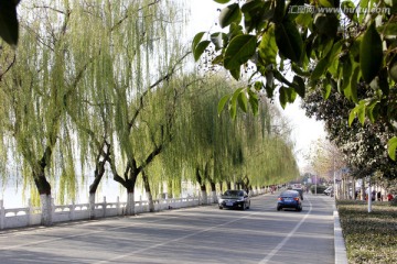 沿河路