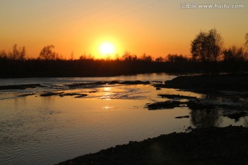 夕阳红