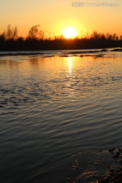 夕阳映水中