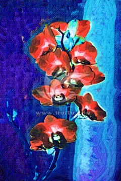 花卉油畫 裝飾畫