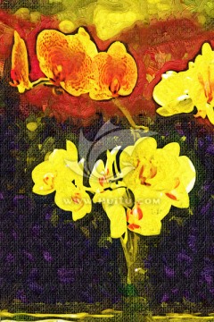 花卉油畫 花卉裝飾畫