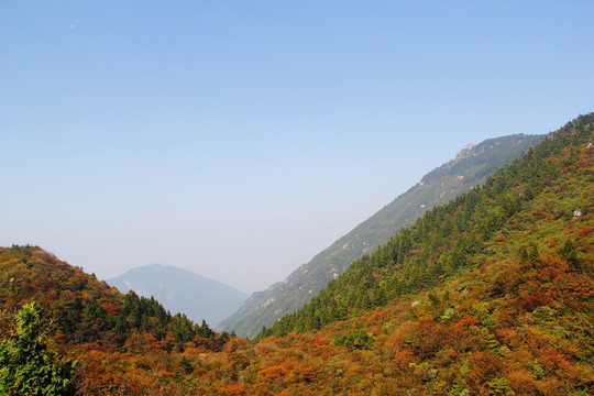 南岳衡山风景区 森林 植被