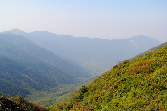 南岳衡山风景区 森林 植被