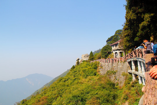 南岳衡山  森林 植被