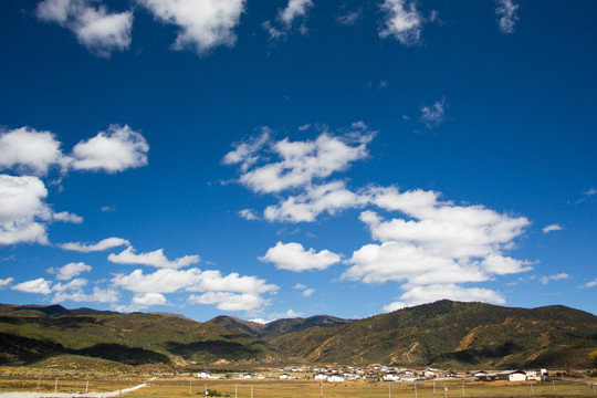 香格里拉田野