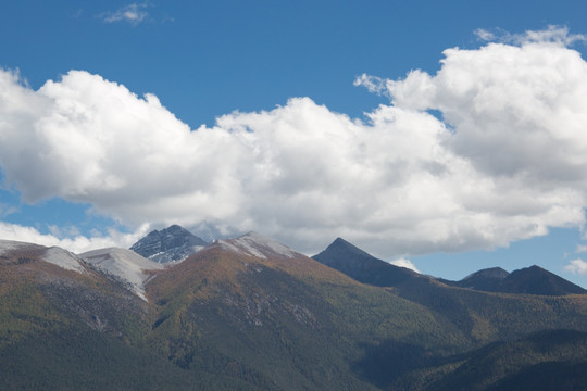 云南香格里拉东坝山