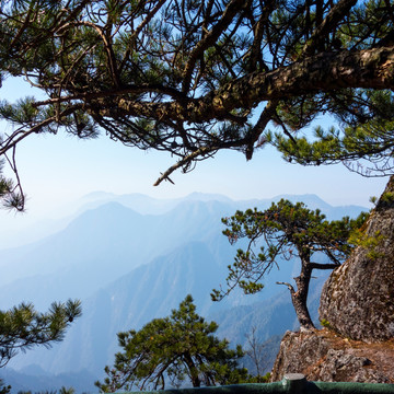 明月山 杨思慕