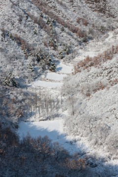 雪中山谷