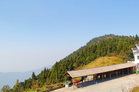 南岳衡山  森林 植被