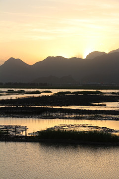 湿地日落