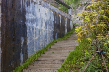 山庄别墅 道路 庭院 居住环境