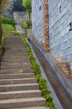 山庄别墅 道路 庭院 居住环境