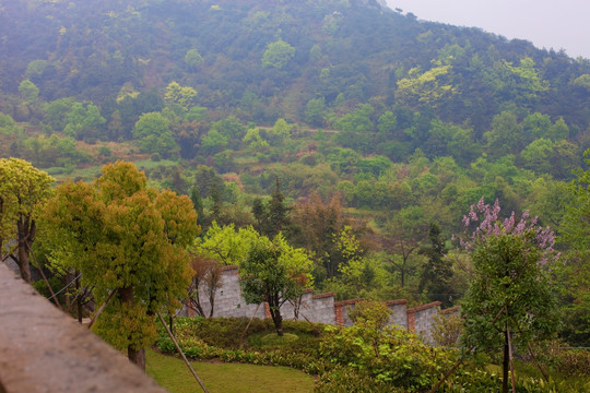 浙江 温岭 居住环境 乡村