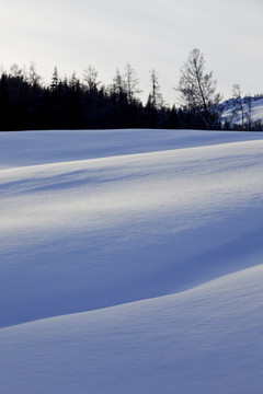 雪原