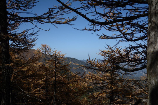 太白山风景