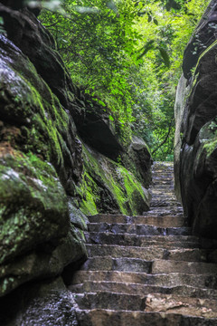 山路台阶