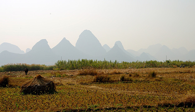 田野风景