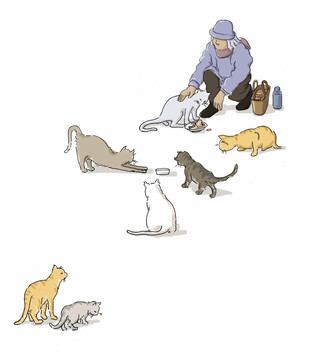 老人喂貓插畫