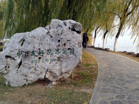 莫愁湖 湖堤 道路 树木 湖面