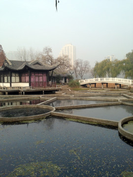 莫愁湖 中式建筑 荷塘 南京