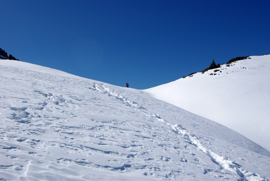 新疆雪景