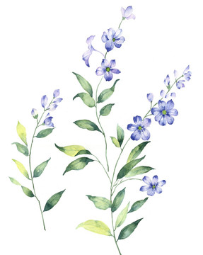 手繪花卉 合層
