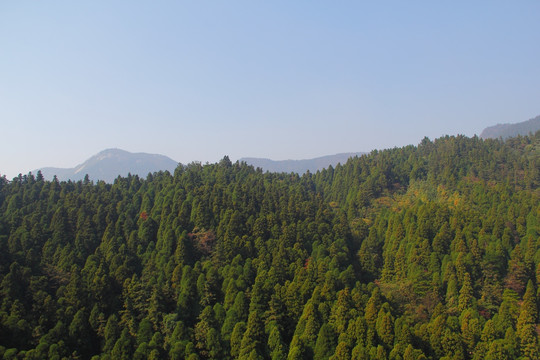 南岳衡山 森林 植被