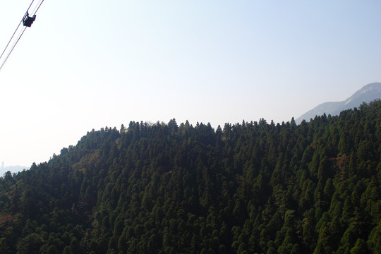 南岳衡山 森林 植被