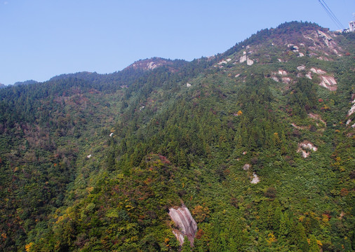 南岳衡山 森林 植被