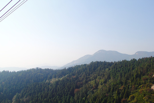 南岳衡山 森林 植被