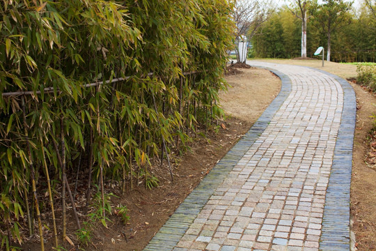 道路 小路 草坪 白塘生态园