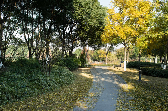 公園秋景