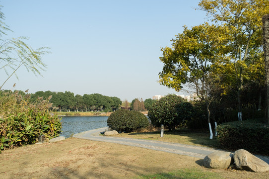 公園秋景